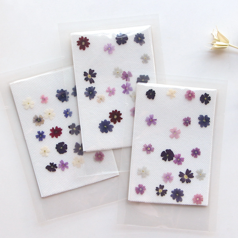 Pressed Flower Frame - 40ชิ้น/ล็อตความงามขนาดเล็กกลีบดอกเชอร์รี่กดดอกไม้แท้แห้ง DIY กาวโทรศัพท์ที่คั่นหนังสือกรอบรูปตกแต่งใบหน้า
