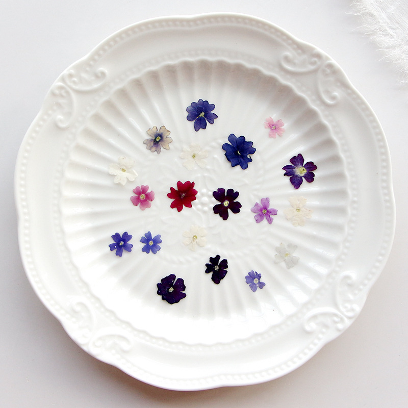 40ชิ้น/ล็อตความงามขนาดเล็กกลีบ - Pressed Flower Frame บทวิจารณ์และราคา