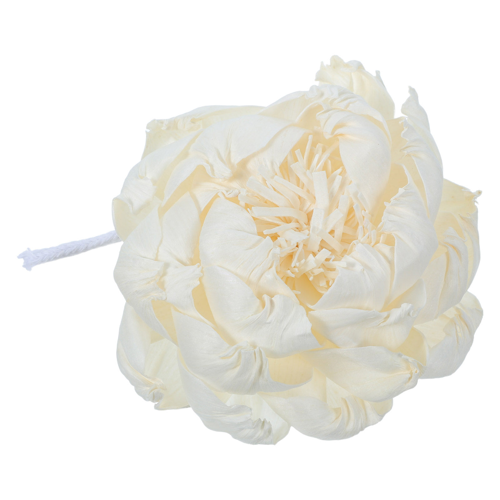 ดอกไม้กระจายกลิ่นหอมสำหรับตกแต - Home Decor Essentials บทวิจารณ์และราคา