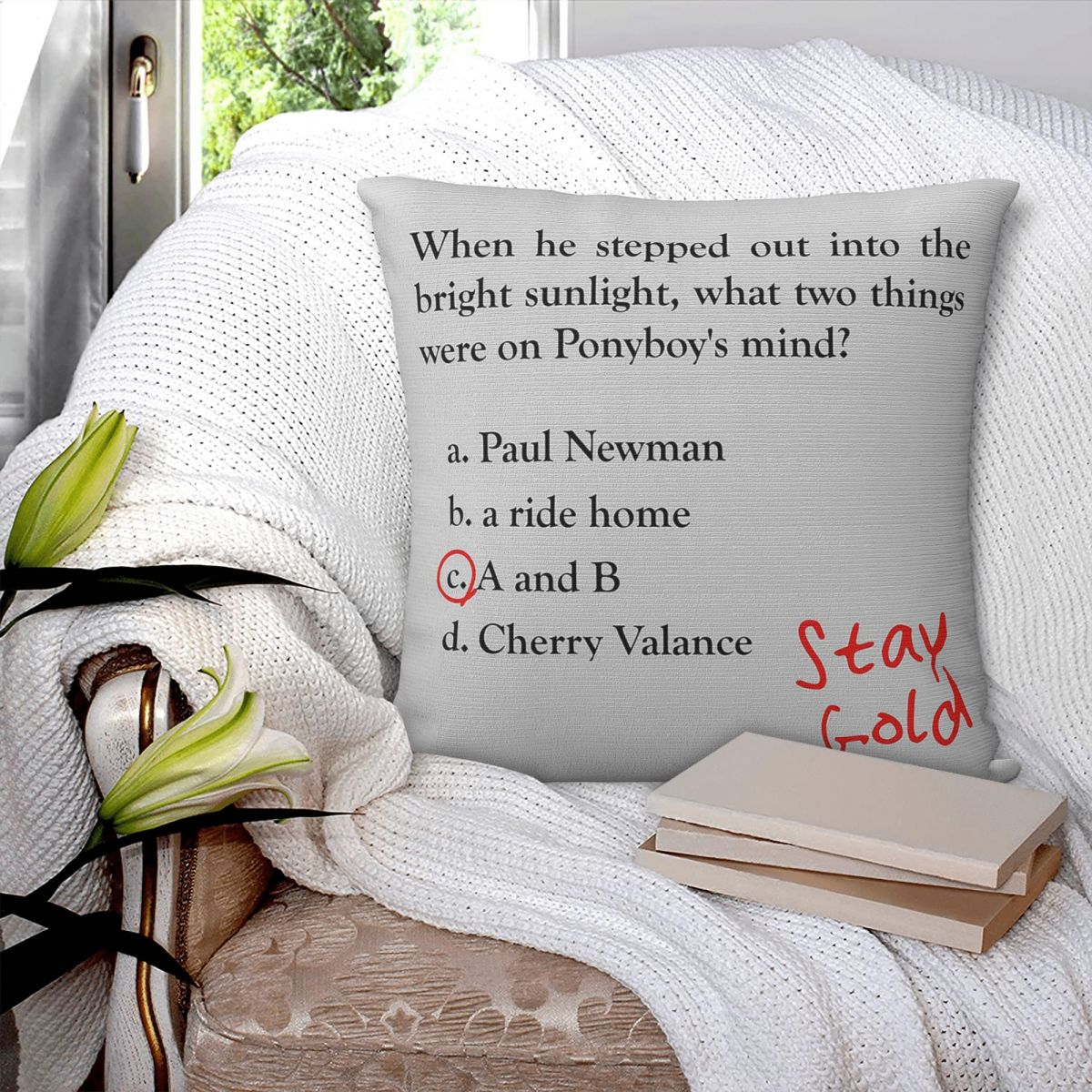 Outsiders Ponyboy Quiz Questio - Home Decor Quiz บทวิจารณ์และราคา