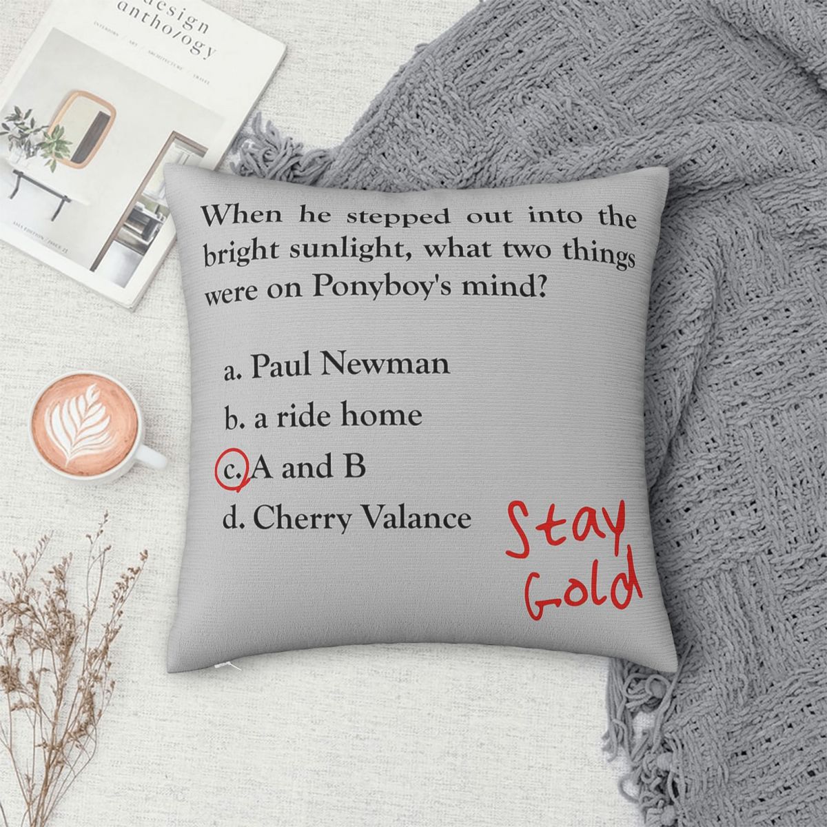 Outsiders Ponyboy Quiz Questio - Home Decor Quiz บทวิจารณ์และราคา