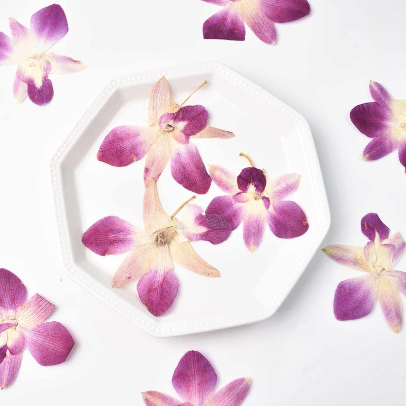 4 ชิ้น, ดอกกล้วยไม้ผีเสื้อแท้แ - Pressed Flower Frame บทวิจารณ์และราคา