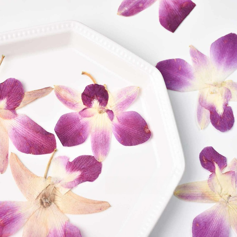 4 ชิ้น, ดอกกล้วยไม้ผีเสื้อแท้แ - Pressed Flower Frame บทวิจารณ์และราคา