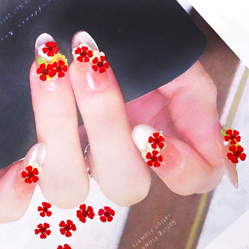 ดอกไม้แห้งอัดเม็ดขนาดเล็ก 1.5  - Pressed Flower Frame บทวิจารณ์และราคา